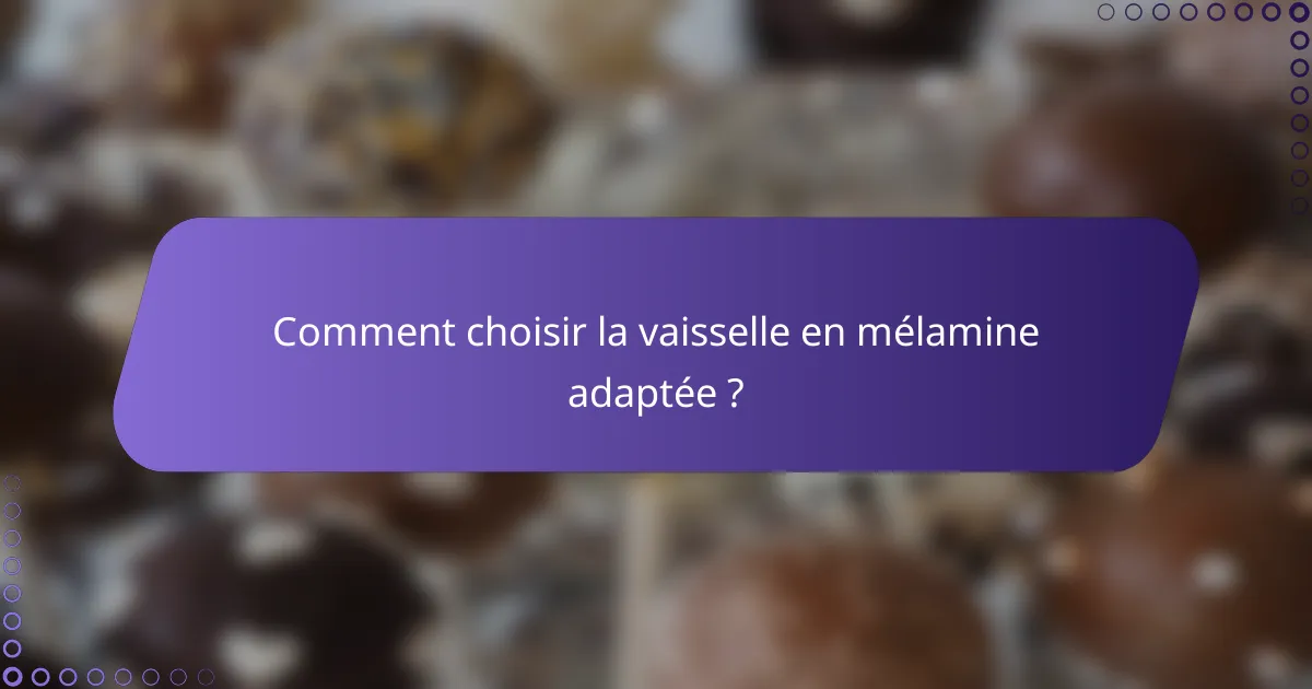 Comment choisir la vaisselle en mélamine adaptée ?