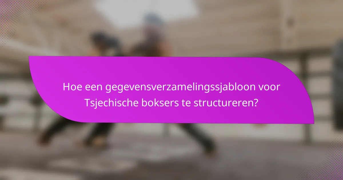 Hoe een gegevensverzamelingssjabloon voor Tsjechische boksers te structureren?