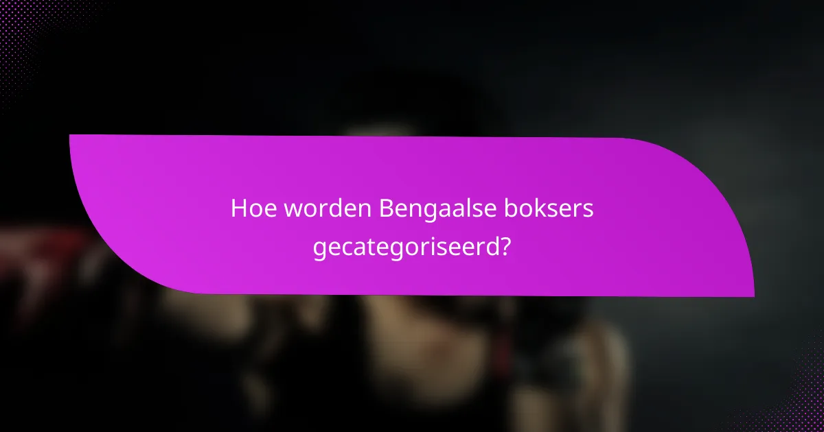 Hoe worden Bengaalse boksers gecategoriseerd?
