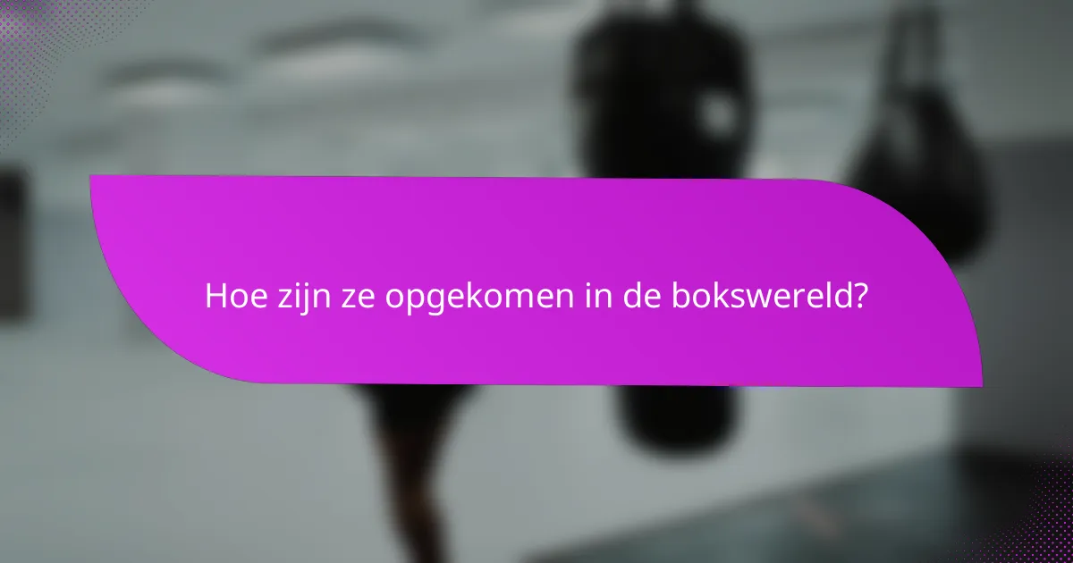 Hoe zijn ze opgekomen in de bokswereld?