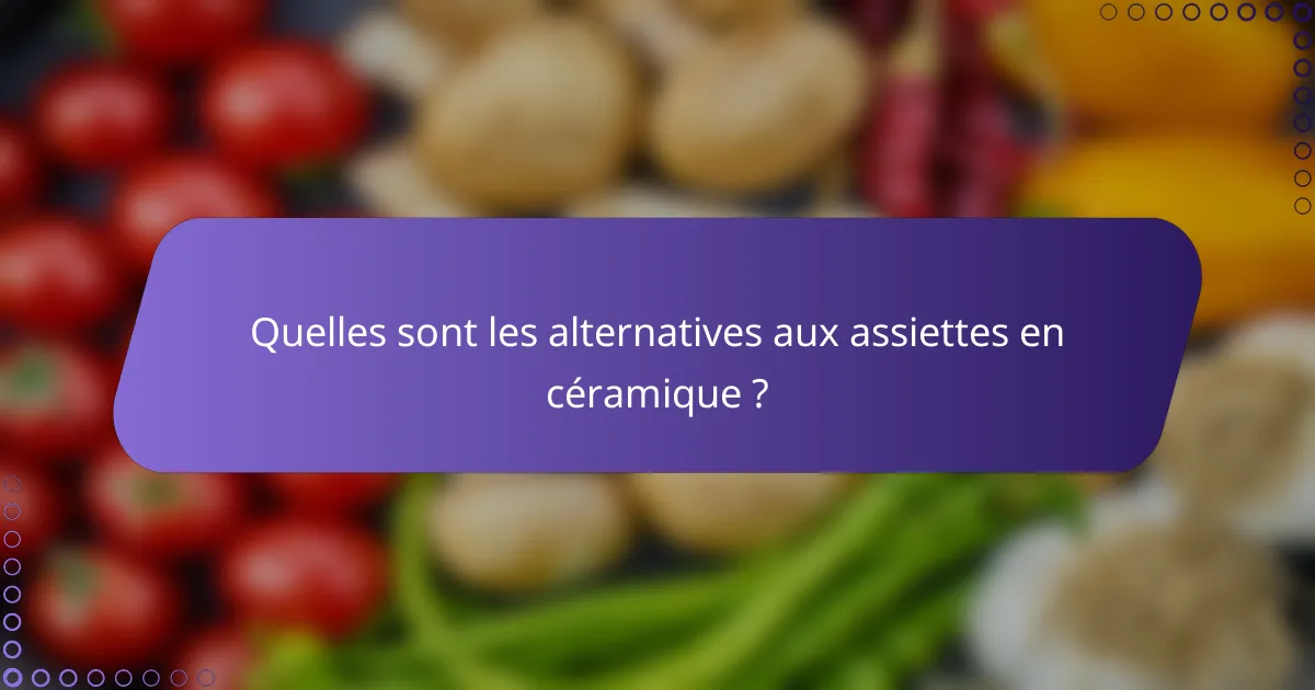 Quelles sont les alternatives aux assiettes en céramique ?