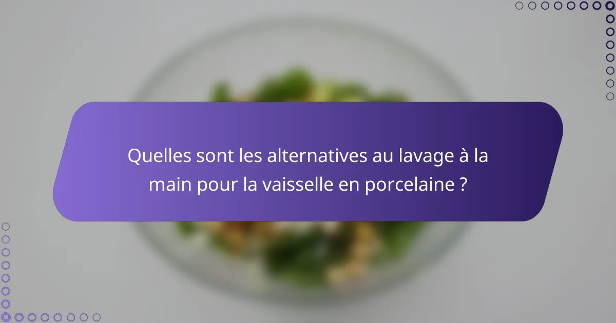 Quelles sont les alternatives au lavage à la main pour la vaisselle en porcelaine ?