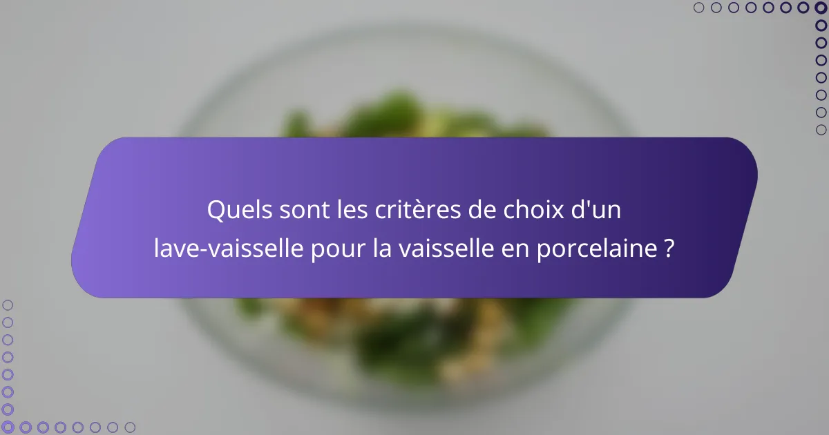 Quels sont les critères de choix d'un lave-vaisselle pour la vaisselle en porcelaine ?