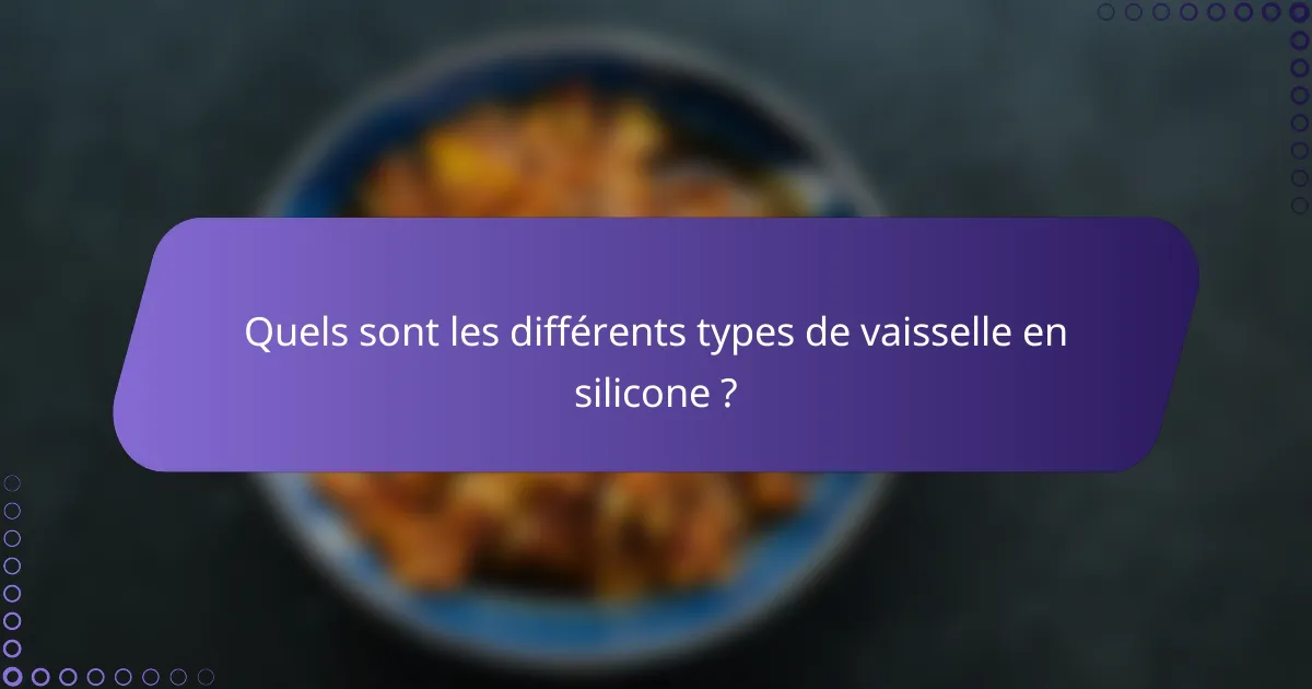 Quels sont les différents types de vaisselle en silicone ?