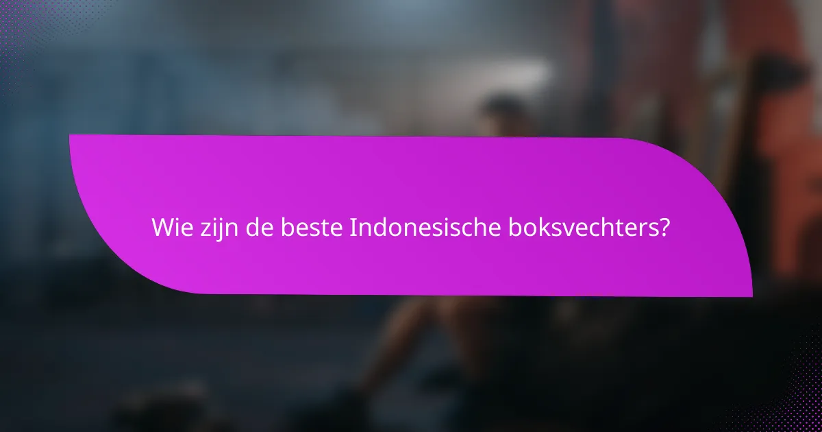 Wie zijn de beste Indonesische boksvechters?