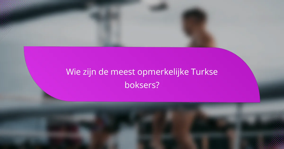 Wie zijn de meest opmerkelijke Turkse boksers?
